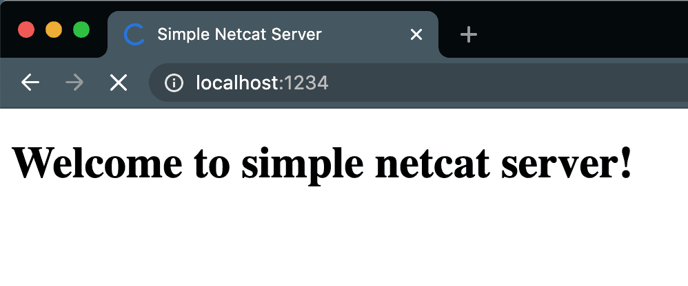 netcat simple server