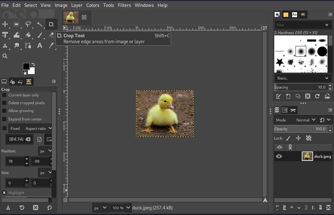 GIMP crop image