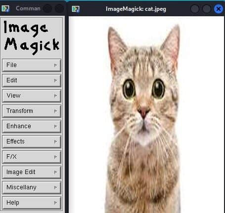ImageMagicK image import