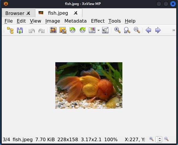 XnViewMP import image
